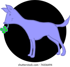 lucky dog