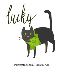 Lucky Hand written brush lettering. Happy St Patrick's Day celebration illustration. Flat illustration of black cat with green clover ribbon bow. Isolated on white.