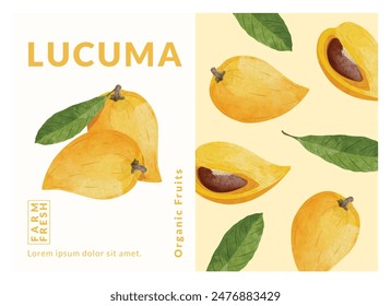 Lucuma, canistel, Eierfrucht-Verpackungs-Design-Vorlagen, Aquarell-Stil Vektorillustration.