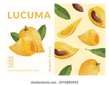 Lucuma, canistel, Egg fruit packaging design templates, watercolour style vector illustration.