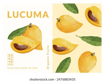 Lucuma, canistel, Egg fruit packaging design templates, watercolour style vector illustration.