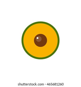 lucuma icon. vector illustration
