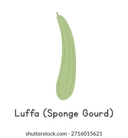 Ilustración vectorial plana de la historieta de Luffa (calabaza de esponja) aislada en el fondo blanco