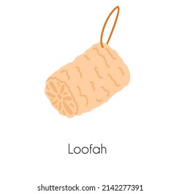 Luffa vegetable zero waste sponge in catoon flat style. Eco friendly loofah sustainable bathroom and kitchen accessory