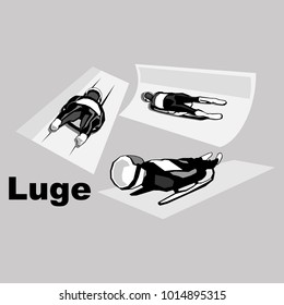luge sport vector illustration
