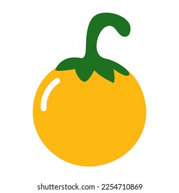 Lulo fruit vector illustration.lulo fruit icon