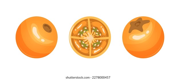 Lulo Fruit vector set. Juicy naranjilla or Solanum quitoense glossy collection. Whole and half. Columbian food. Tropical fruit from South America