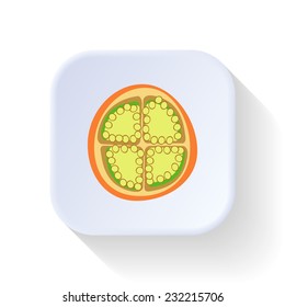 Lulu fruit vector graphic illustration design art