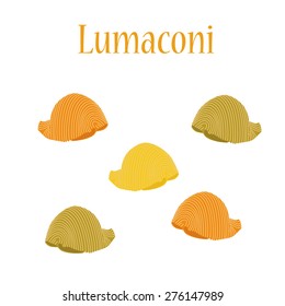 Lumaconi pasta vector isolated, macaroni icon, pasta collection