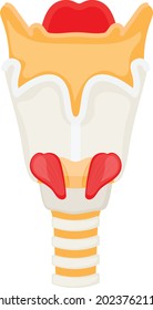 Lumbar vertebrae Vertebral column Concept Vector color Icon Design, Organ System Symbol, Human Anatomy Sign, Human Body Parts Stock illustration