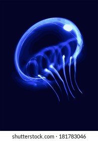 Luminous blue jellyfish