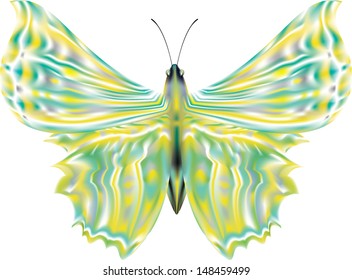 luminous butterfly on white background
