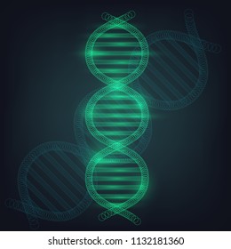 Luminous DNA spiral, genetics, evolution, genetic engineering