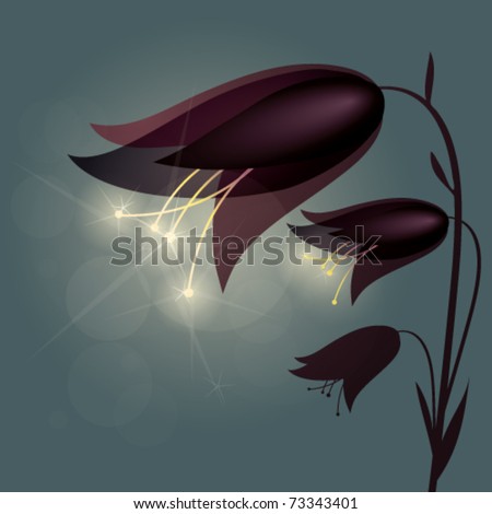 Luminous Flower Bellflower / Mysterious background