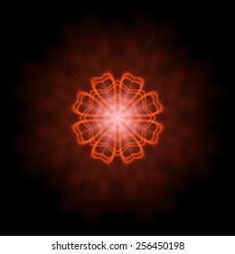 Luminous orange flower on black background.