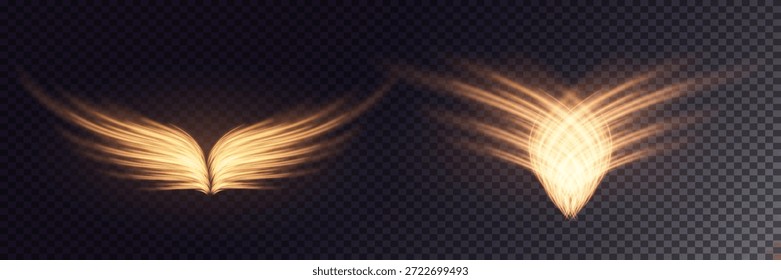 Conjunto luminoso de alas de ángel con efecto de retroiluminación.