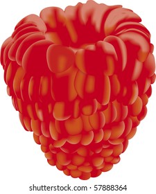 luminous shining bright red raspberry