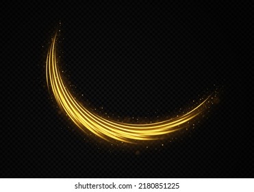 Luminous wave with sparkles particles. Magic sparkle dust on transparent background. Golden light trails with light effect. 