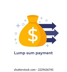 Lump sum payment icon with a money bag, vector
