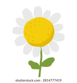 Lumpy White Daisy Flower Naive Vector Design