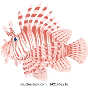 Luna lionfish, isolated on the white background.