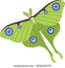 Luna Moth Vector Illustration with Green Wings and Eyespots
