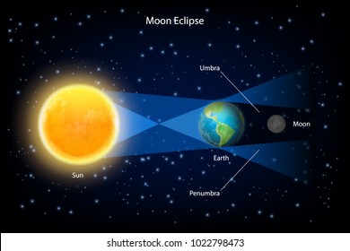 Lunar eclipse vector infographic  The sun  earth   full moon are aligned exactly and the earth in the middle 