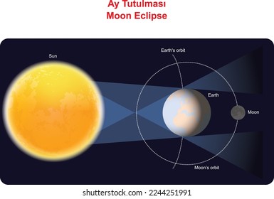 Lunar Eclipses Sun Earth and Moon Illustration