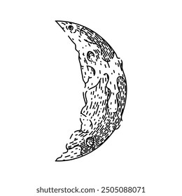 lunar moon hand drawn. eclipse craters, phases orbit, tides surface lunar moon vector sketch. isolated black illustration