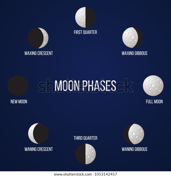 Lunar\
phases from new moon to full. Vector\
illustration