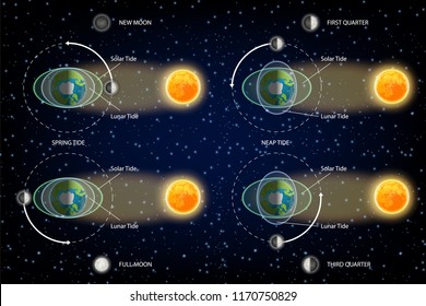 Lunar and Solar tides diagram. Vector illustration. Educational poster, scientific infographic, presentation template.