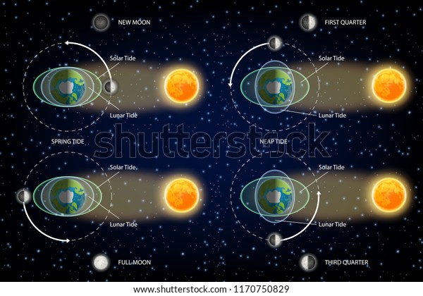 Lunar and\
Solar tides diagram. Vector illustration. Educational poster,\
scientific infographic, presentation\
template.