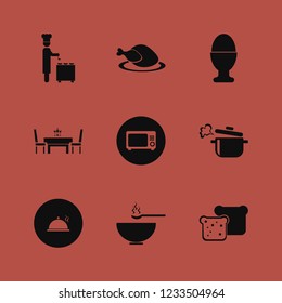 lunch icon. lunch vector icons set microwave, proper meal, boiled pan and hot chicken