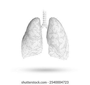 Lung. Abstract vector 3d lungs isolated on white. Human health, respiratory system, pneumonia illness, biology science, smoker asthma, healthcare concept. Internal organ anatomy illustration