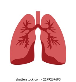 Lung Anatomy Human Organ Human Respiratory Stock Vector (Royalty Free ...