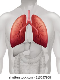 Lung cancer diagram in human illustration