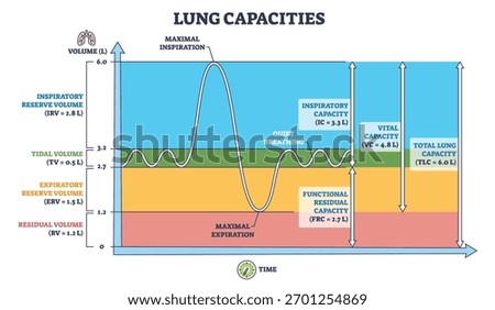 Lung capacities diagram outline visualizes breathing volumes over time, graph, volume scale, waveform show tidal, vital and total measures. Outline diagram