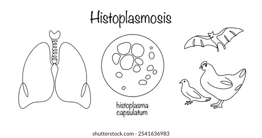 A lung disease caused by inhalation of fungal spores found in soil or other substrate contaminated by bird or bat droppings. Histoplasmosis is a common disease worldwide. Black and white vector. 