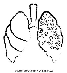 lung hand drawn isolated on a white backgrounds