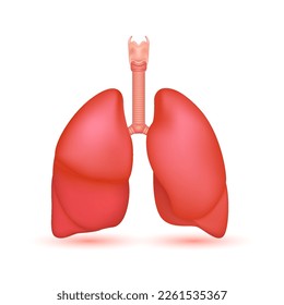 Modelo de anatomía humana pulmonar aislado en fondo blanco. Órgano principal del cuerpo humano. Sistema respiratorio pulmones sanos. Concepto de medicina y ciencia. Icono Vector 3D.