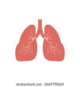 Lung human icon isolated on white background