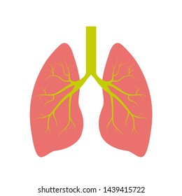 Lung human icon, respiratory system healthy lungs anatomy flat medical organ icon.