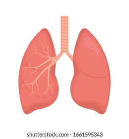 Lung human icon, respiratory system healthy lungs anatomy flat medical organ icon