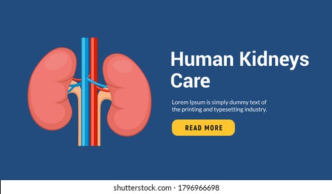Lung human icon, respiratory system healthy lungs anatomy flat medical organ banner