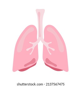 lung human internal organ anatomy vector illustration flat design