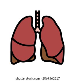 lung human organ color icon vector. lung human organ sign. isolated symbol illustration