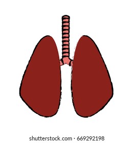 lung human organ healthycare icon