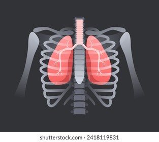 Lung in human rib cage. Respiratory system anatomy, lungs with trachea inside bony structure. Pulmonary xray vector illustration of lung biology symbol