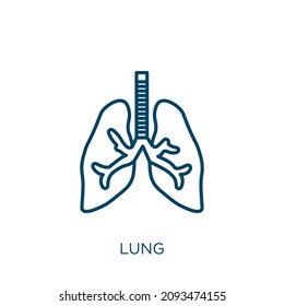 lung icon. Thin linear lung outline icon isolated on white background. Line vector lung sign, symbol for web and mobile