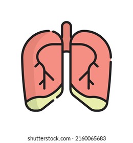 Lung Icon Vector Illustration. Flat Outline Cartoon. Medical Icon Concept Isolated Premium Vector